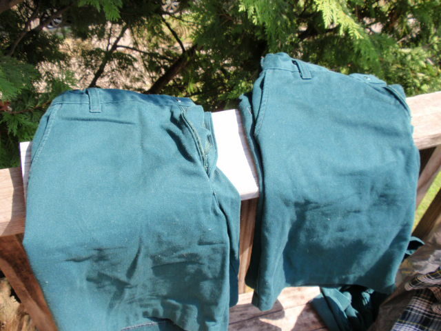 LOT OF 2 FLYNN & O’HARA BOY’S KID’S SCHOOL UNIFORM GREEN SHORTS SIZE 16 HUSKY