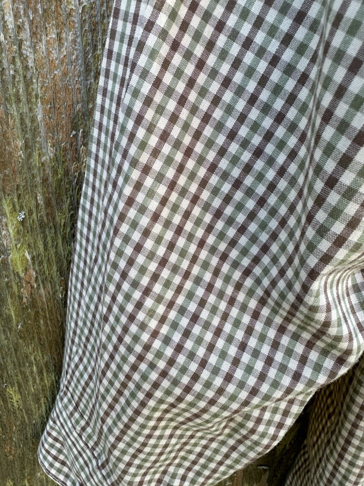 ORIENT EXPRESSED Size 7 Button Down Dress Shirt Brown Green Tiny Gingham