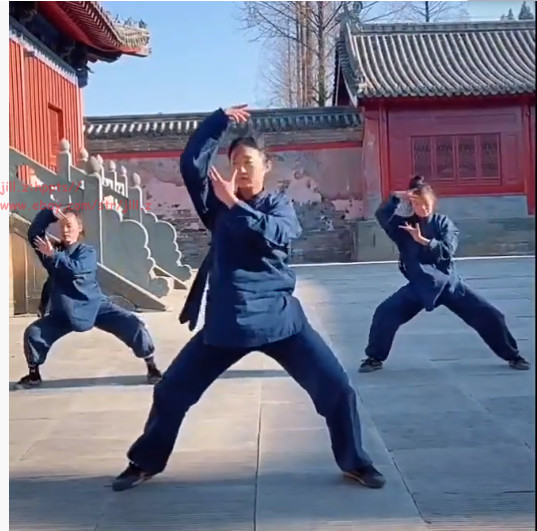 Wudang Taoist Shaolin Monk Uniforms Kung Fu Tai Chi Martial Arts Suit Clothing//