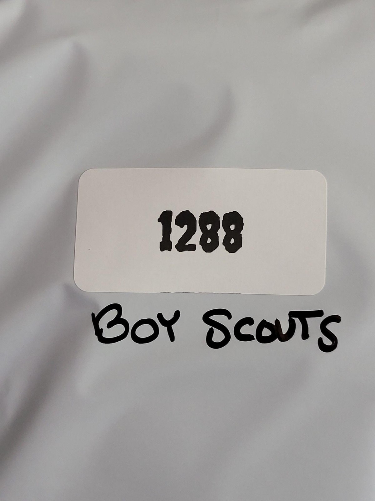 Boy Scouts Of America Shorts Youth XL Green Switchback Cargo Belted Uniform Logo