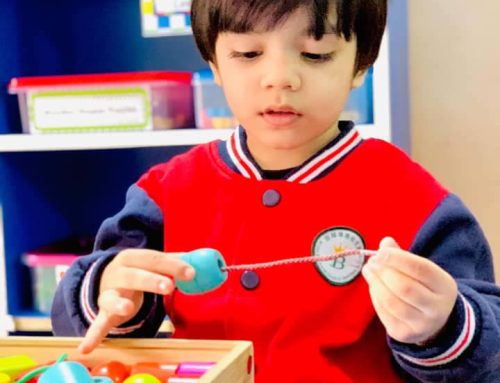Early childhood education & American Lycetuff DNK School system