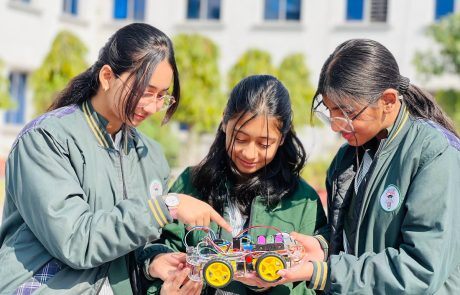 American Lycetuff Dnk